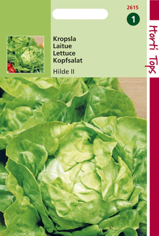 Lettuce Hilde ll (Lactuca) 2400 seeds